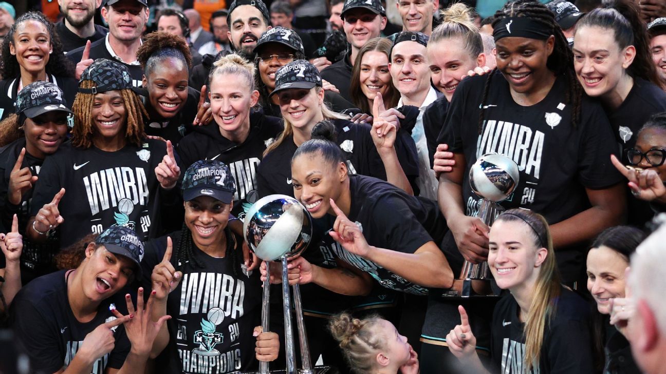 Self government identify, epic WNBA Finals becoming finish to transcendent season