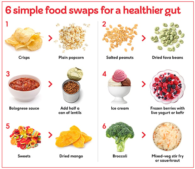 Discovering the Best Food for Gut Health