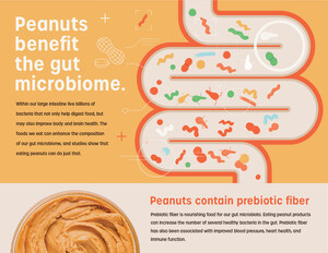 Exploring the Impact of Peanut Butter on Gut Health