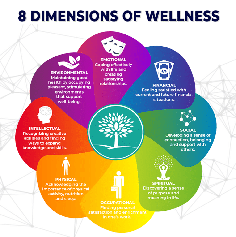 Exploring the Main Pillars of Health and Wellness