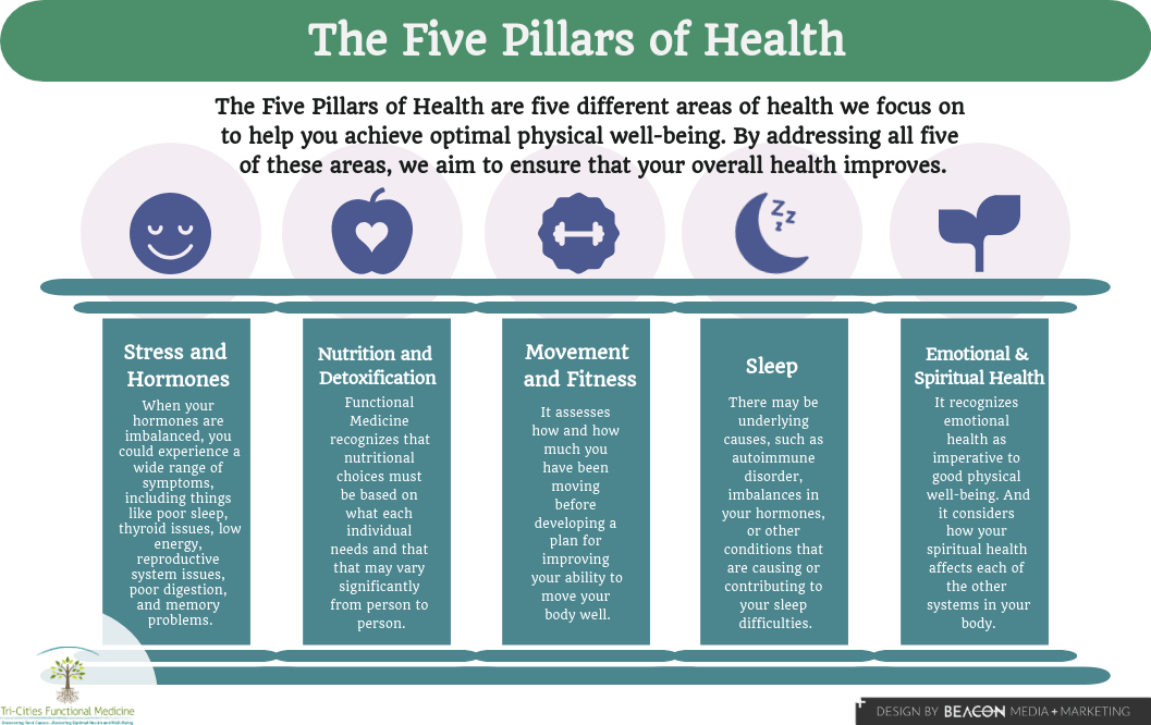 Exploring the Main Pillars of Health and Wellness