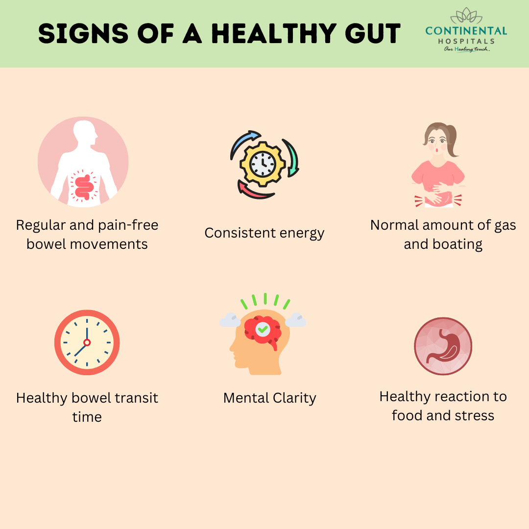 Signs of a Healthy Gut