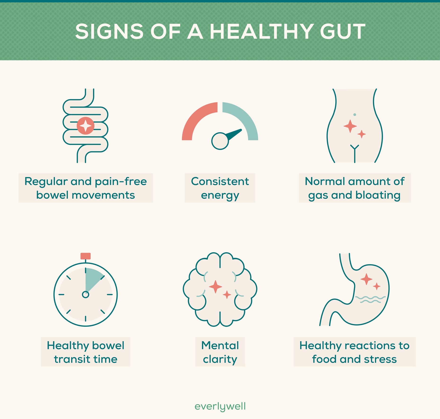 Signs of a Healthy Gut