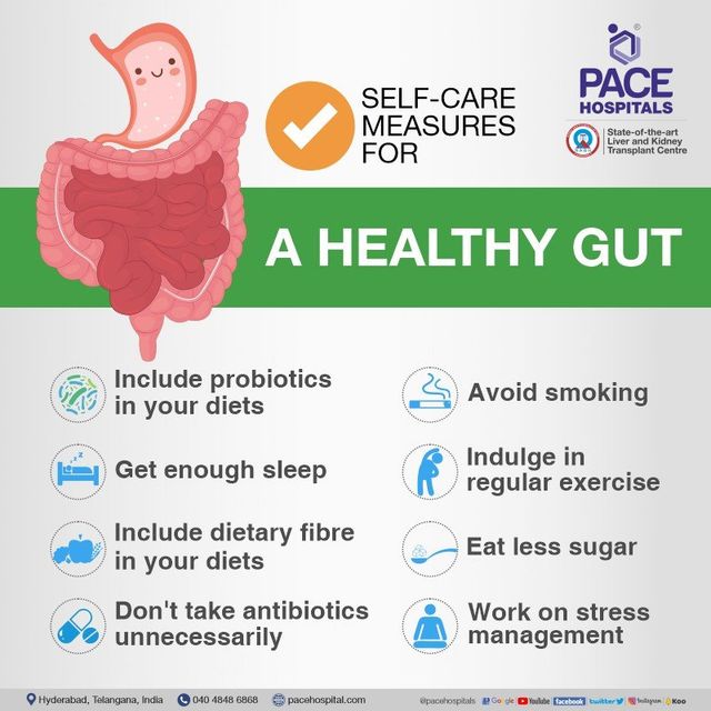 The Best Way to Fast for Gut Health