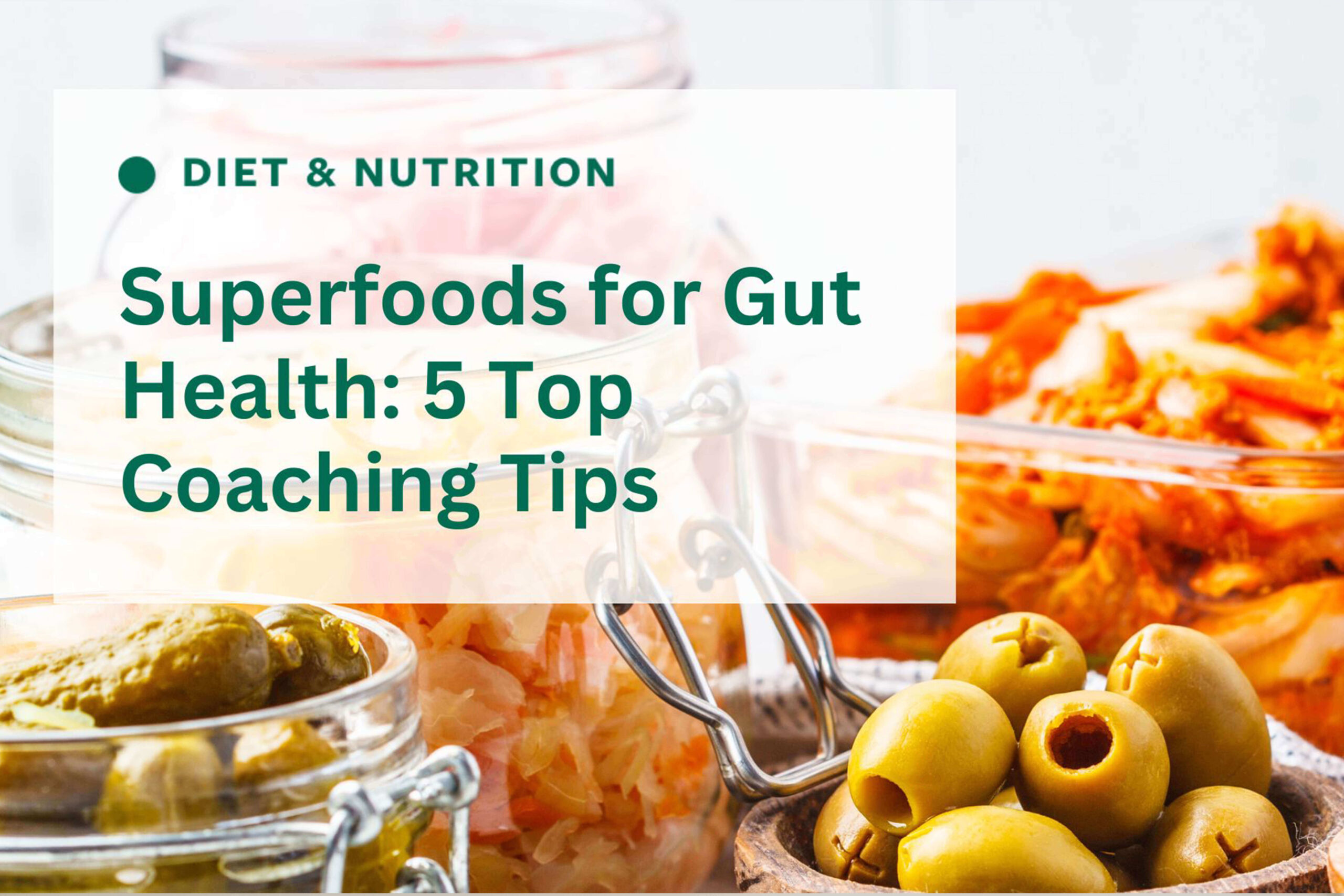 Top Superfoods for Gut Health