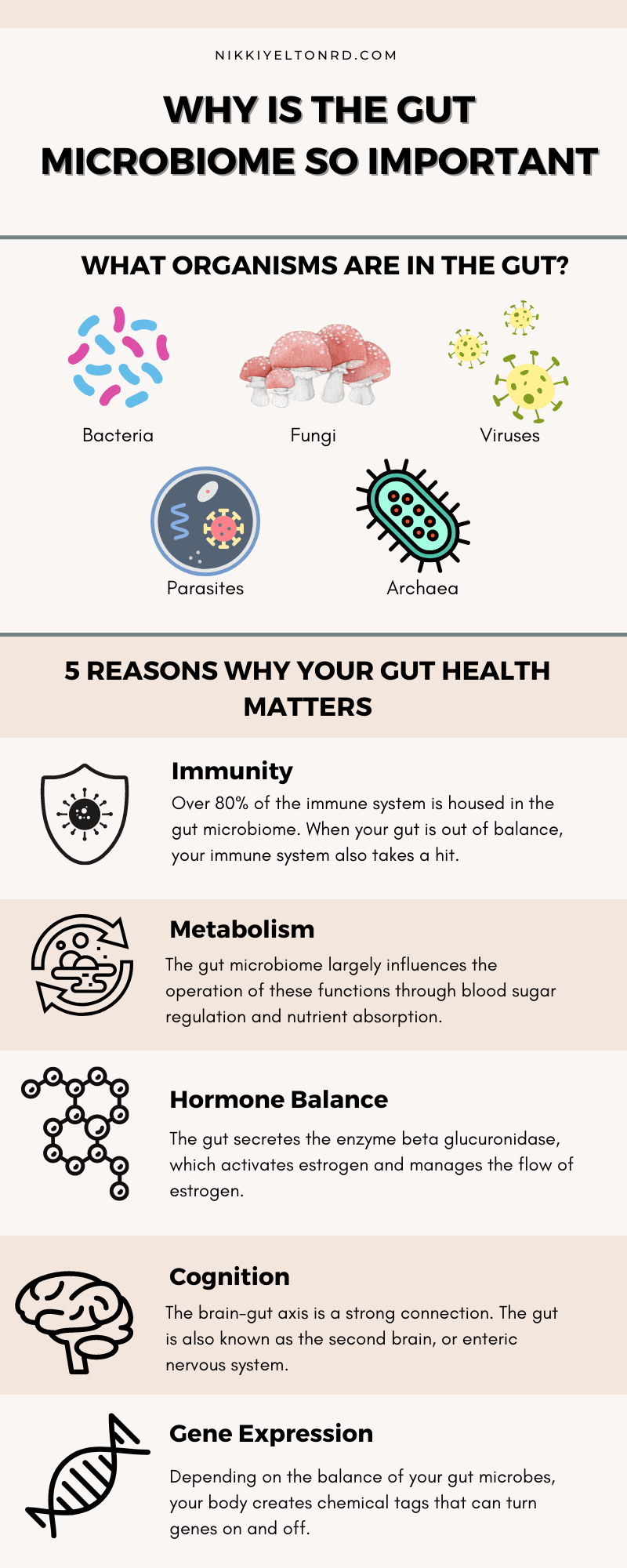 Understanding Why Gut Health Suffers