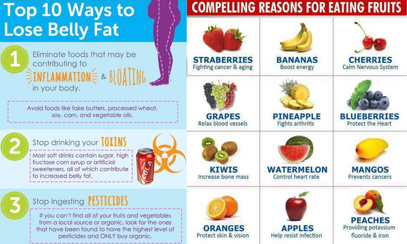 What Foods Help You Lose Belly Fat?